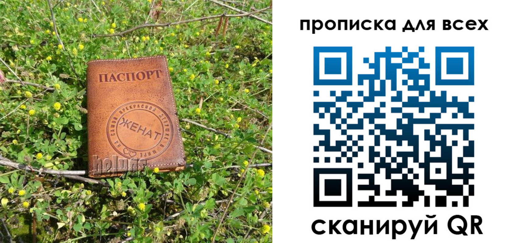 прописка поиск в Ленинске